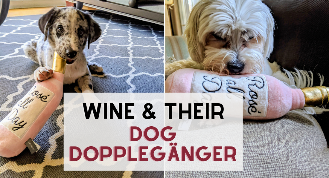 two small dogs chewing on a pink wine bottle dog toy  that says rose all day. text overlay says: wine and their dog dopplegänger