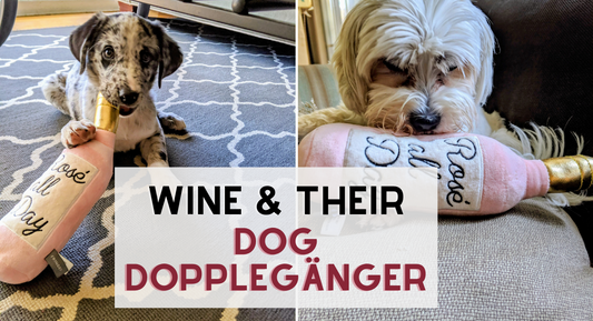 two small dogs chewing on a pink wine bottle dog toy  that says rose all day. text overlay says: wine and their dog dopplegänger