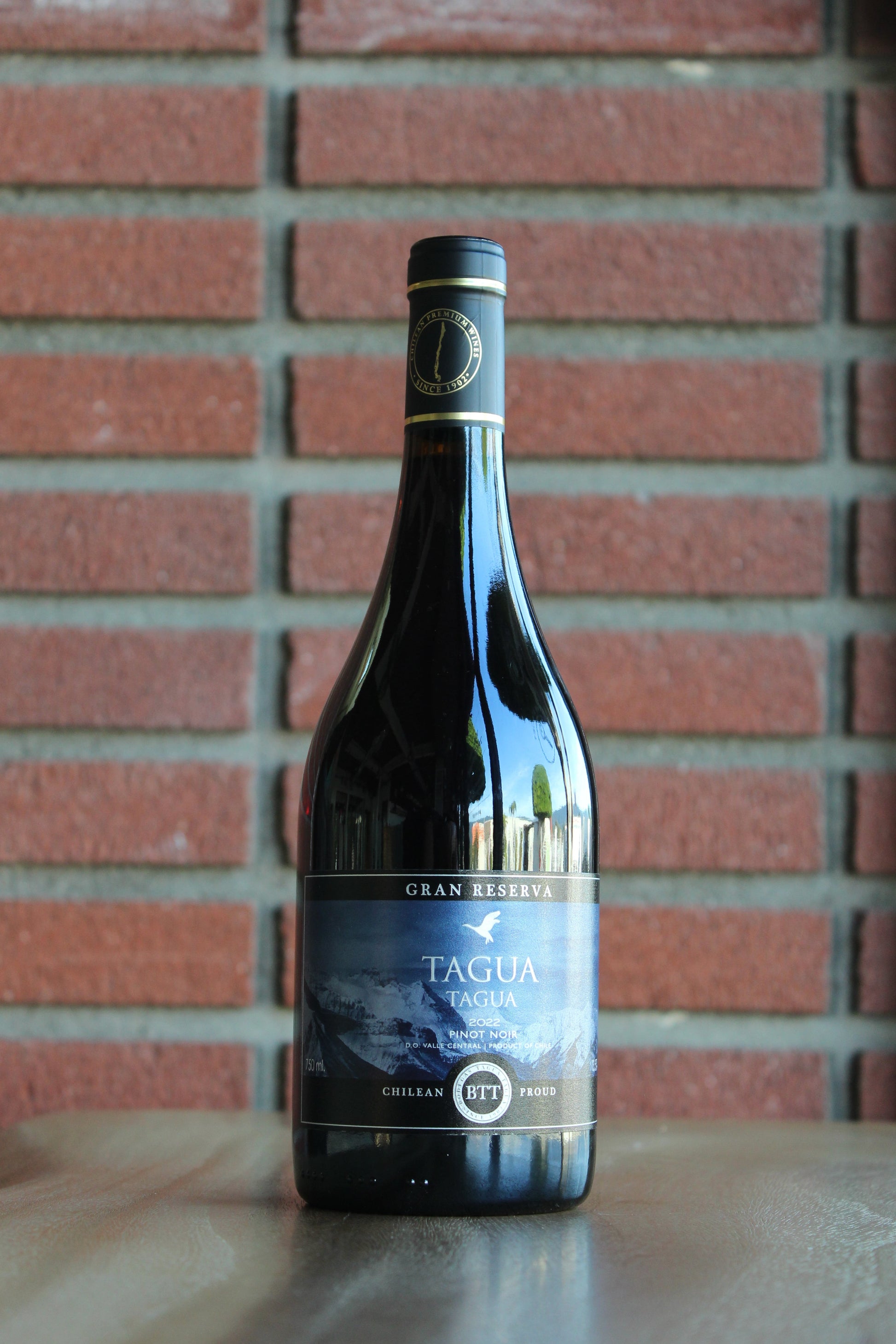 Bottle of Bodegas Tagua Tagua Gran Reserva Pinot Noir 2022 wine on a wood surface against a brick background